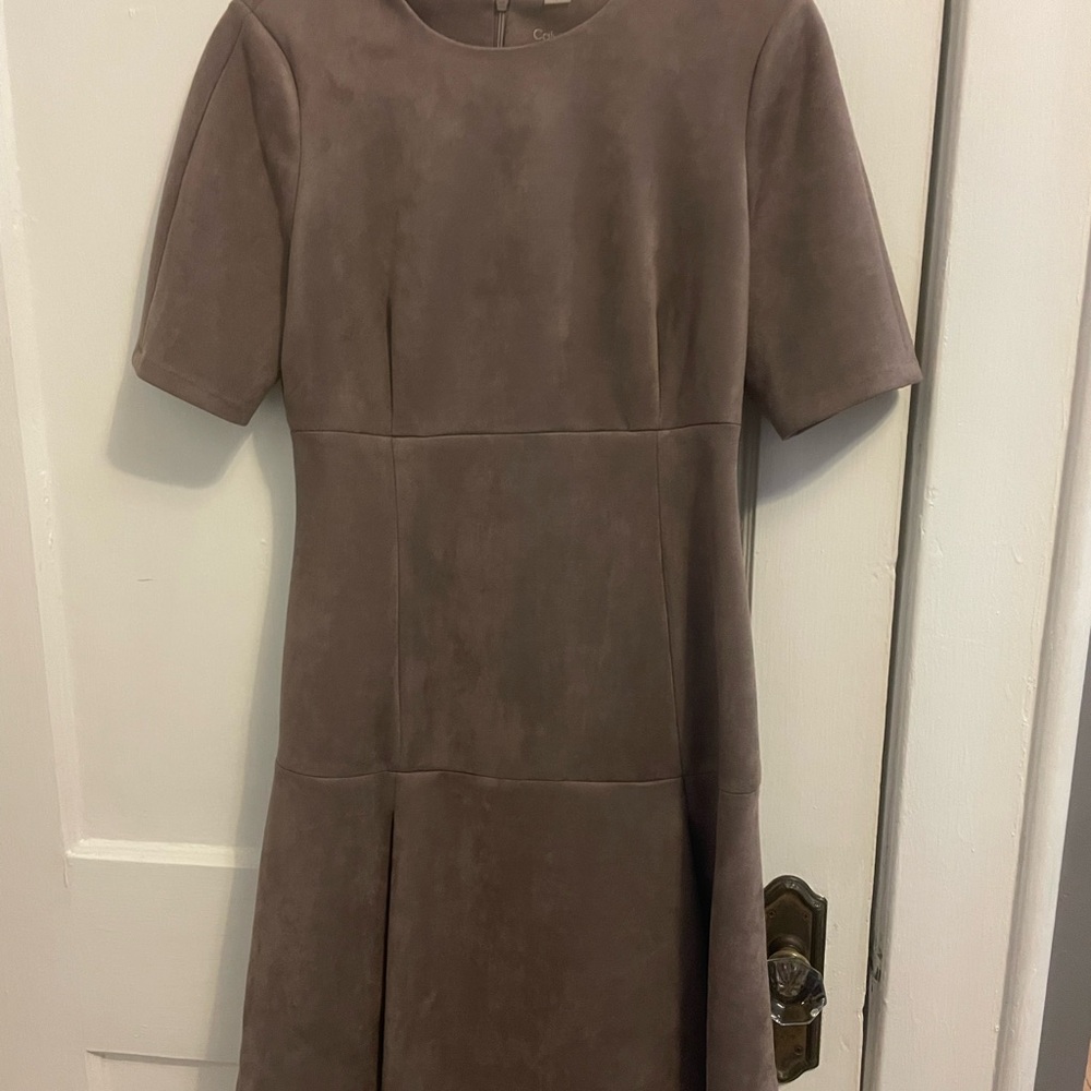Calvin Klein Taupe Dress